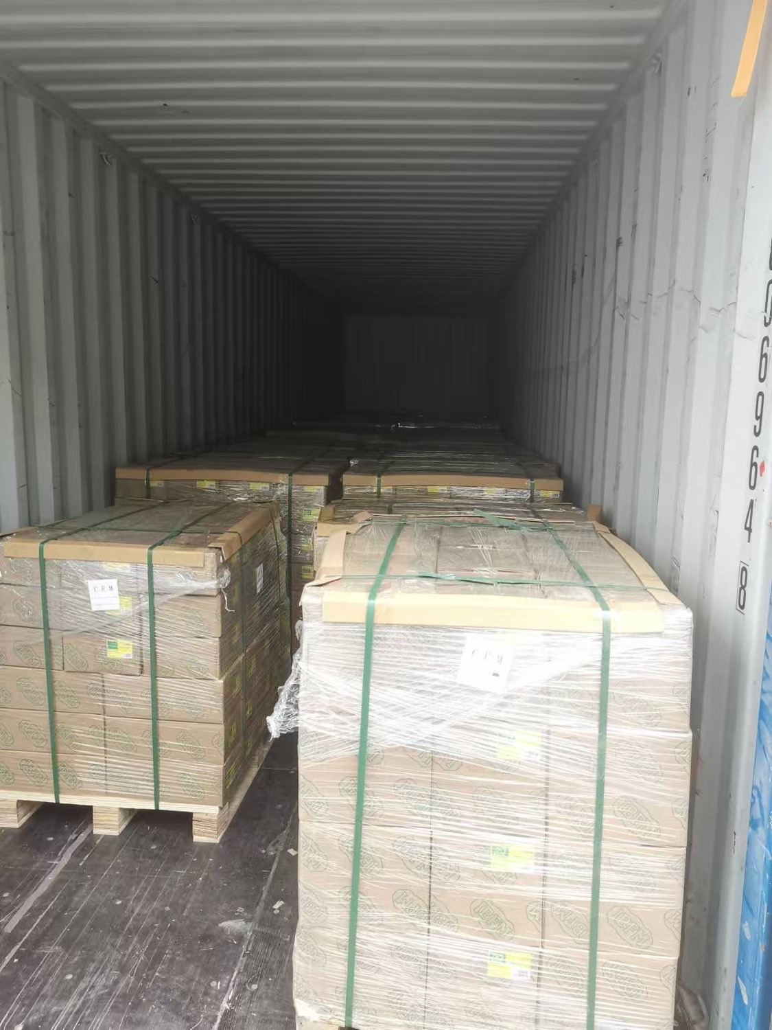 Palletised cartons loaded and strapped inside a shipping container